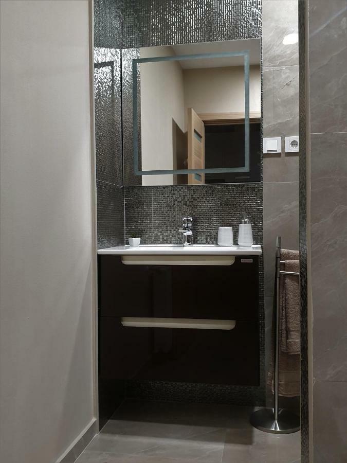Irina Apartments Timisoara Exterior foto