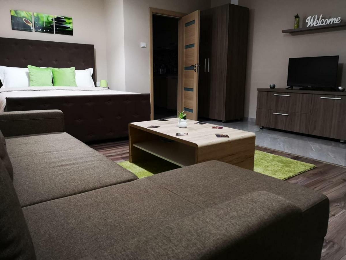 Irina Apartments Timisoara Exterior foto