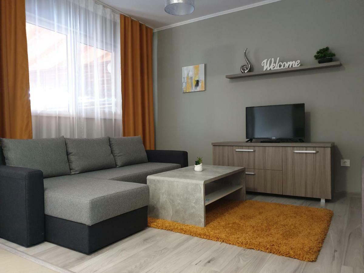 Irina Apartments Timisoara Exterior foto